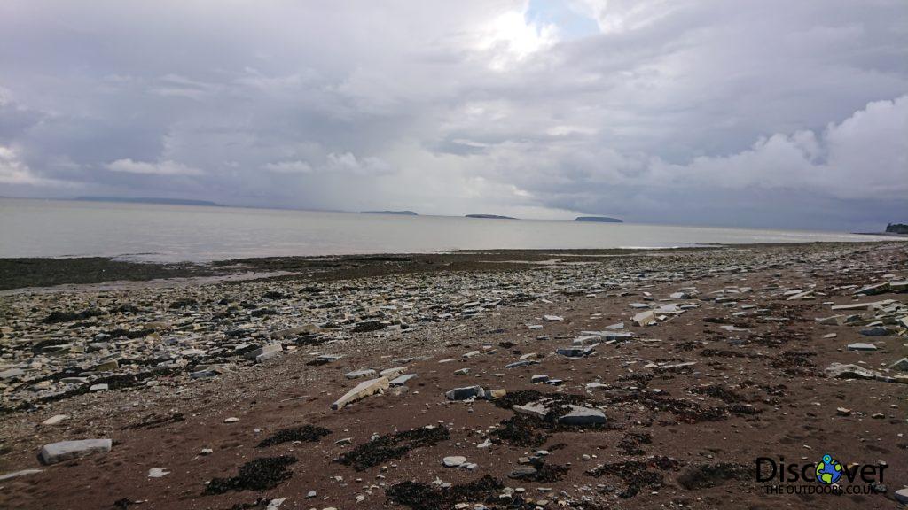 Top eight beaches for fossil hunting Discover the outdoors