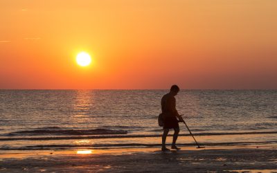 Best Metal Detectors for Beachcombing