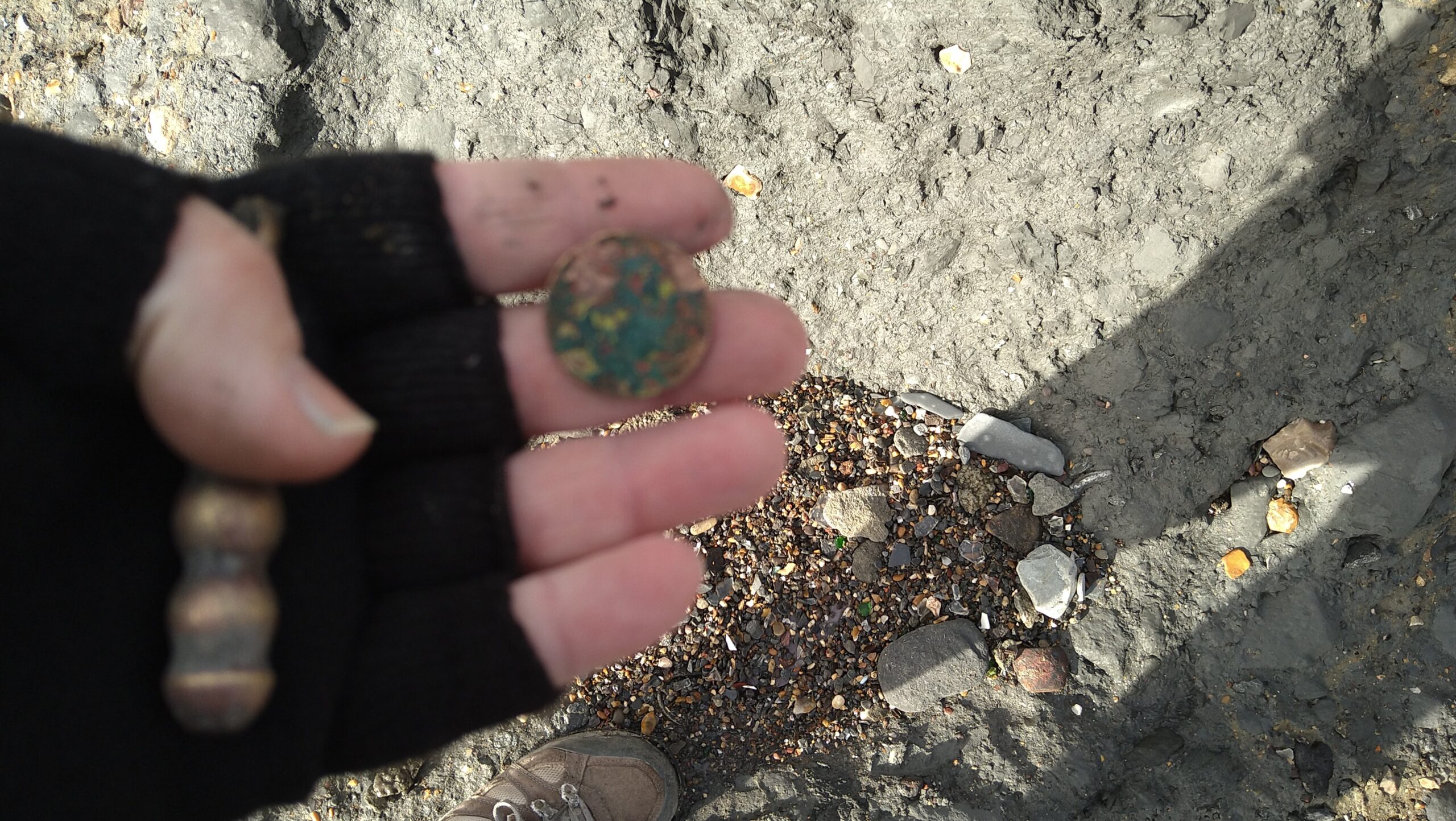 beachcombing finds (111)