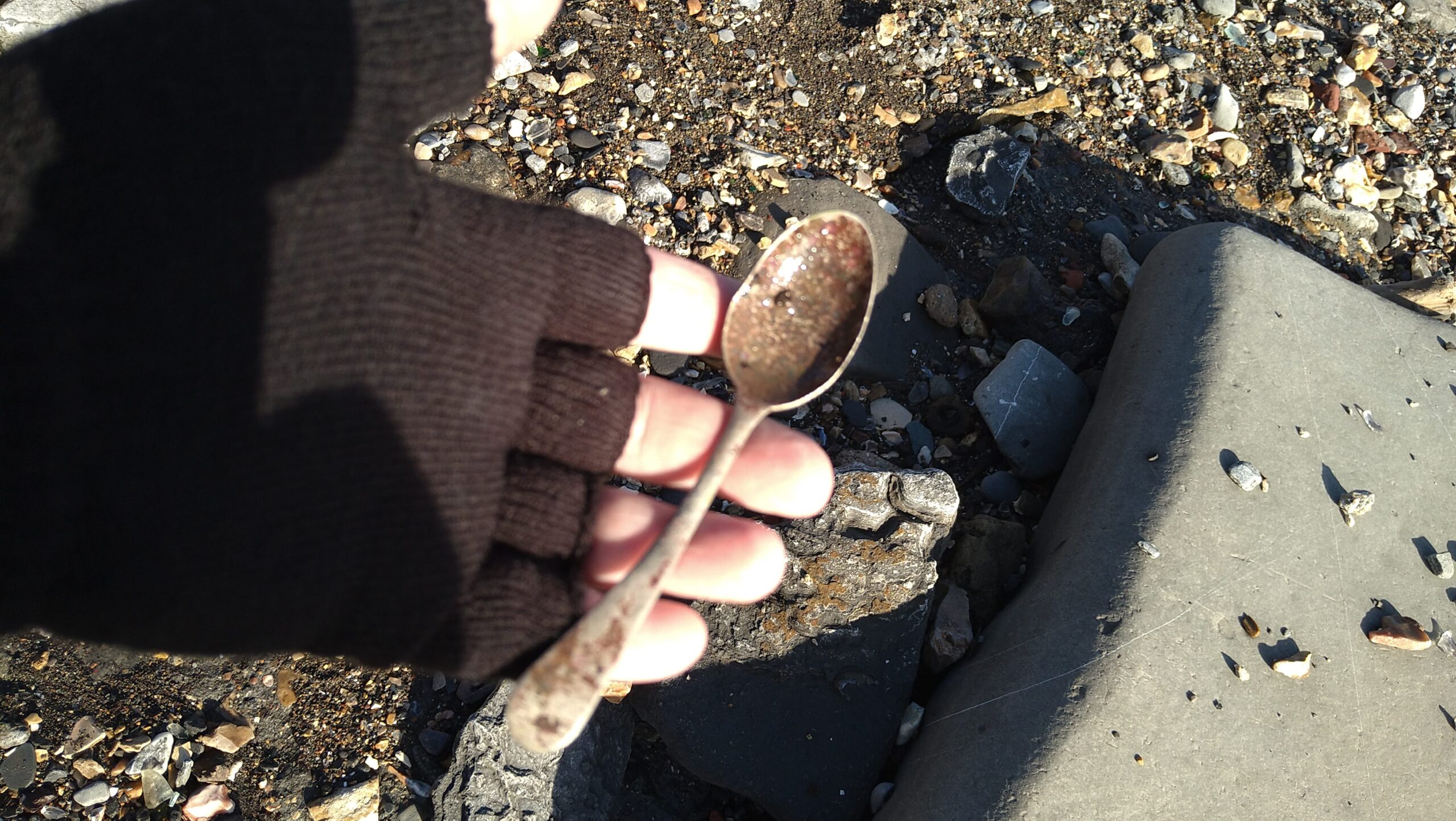 beachcombing finds (126)