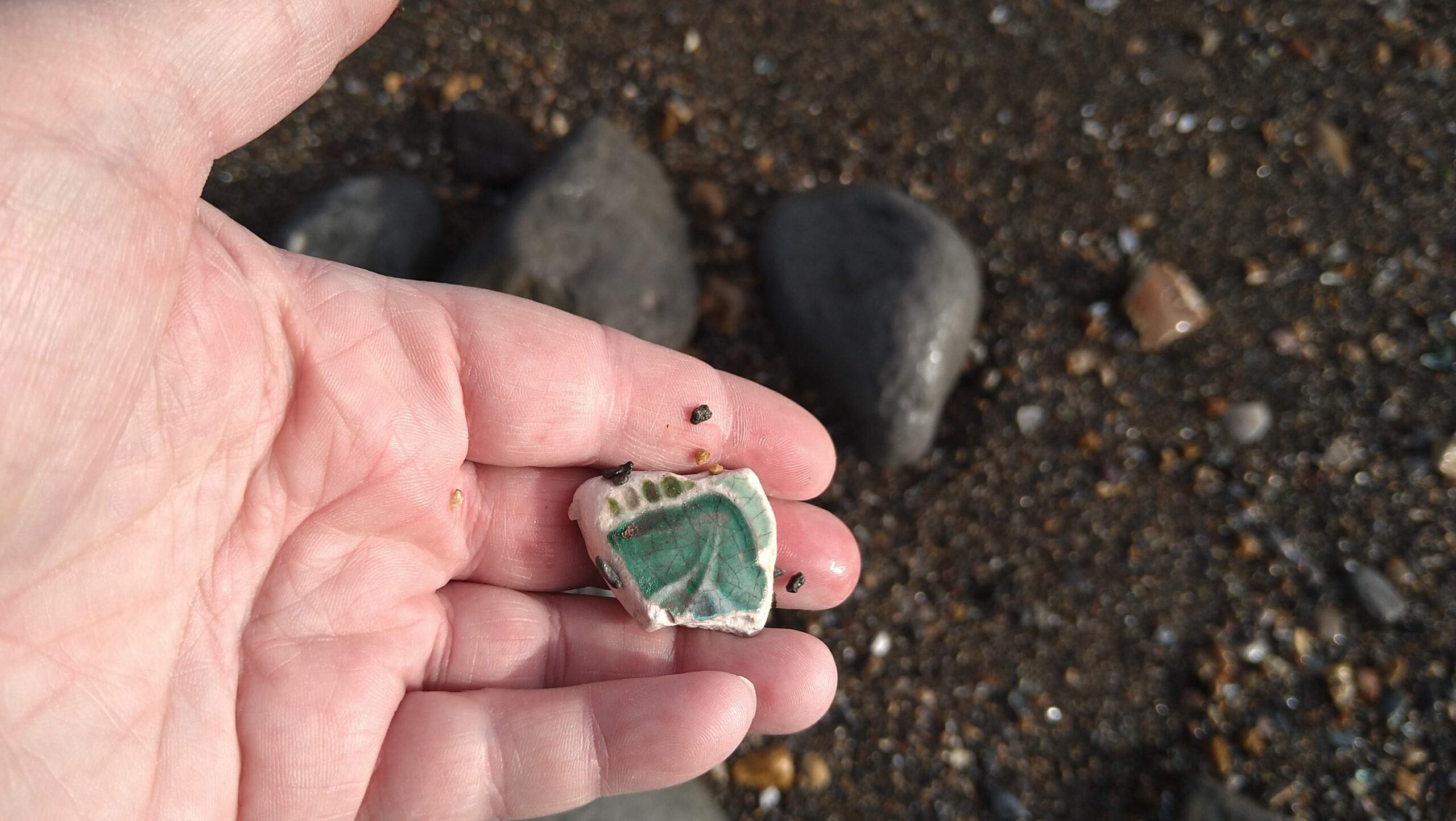 beachcombing finds (142)