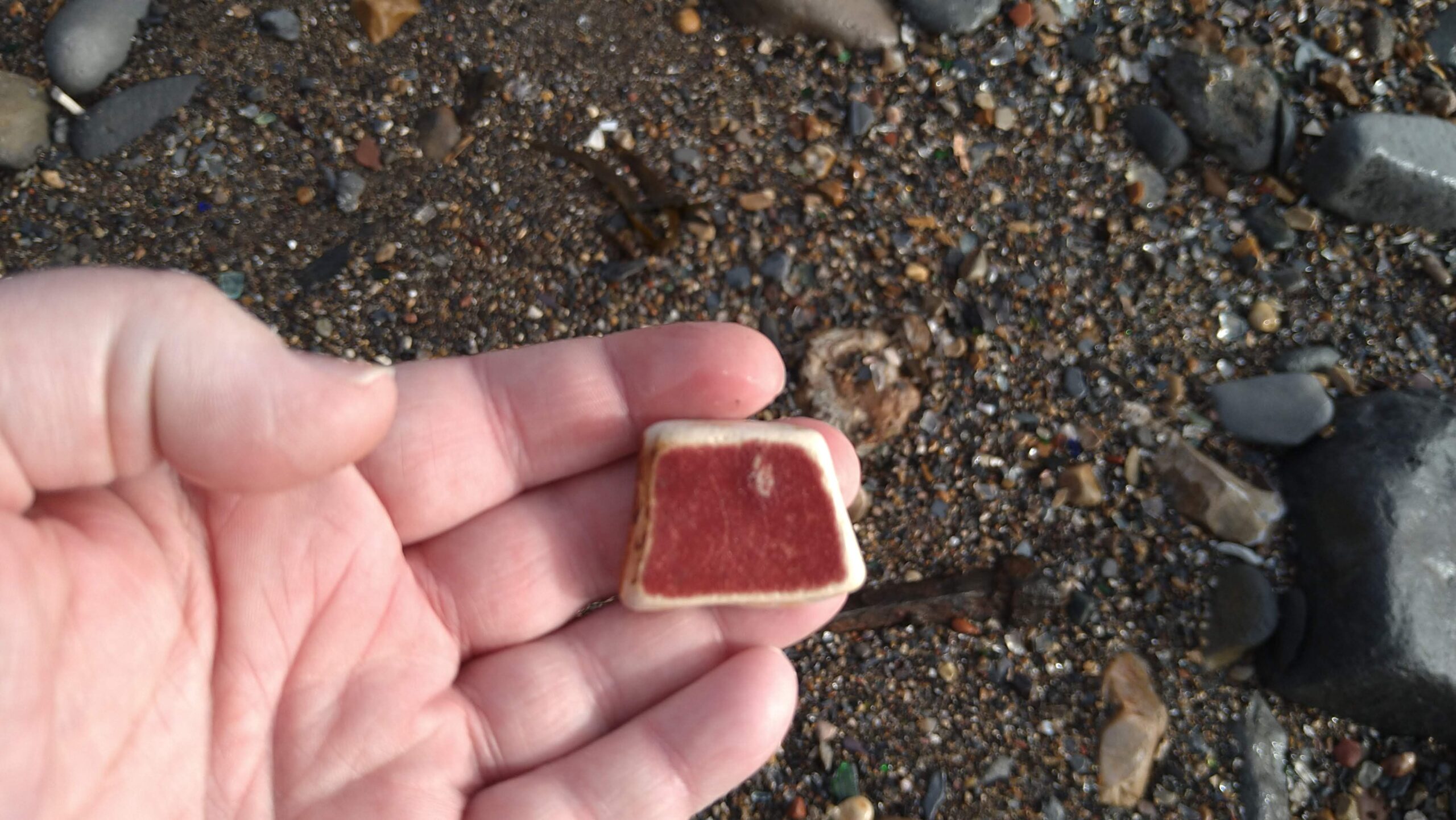 beachcombing finds (144)