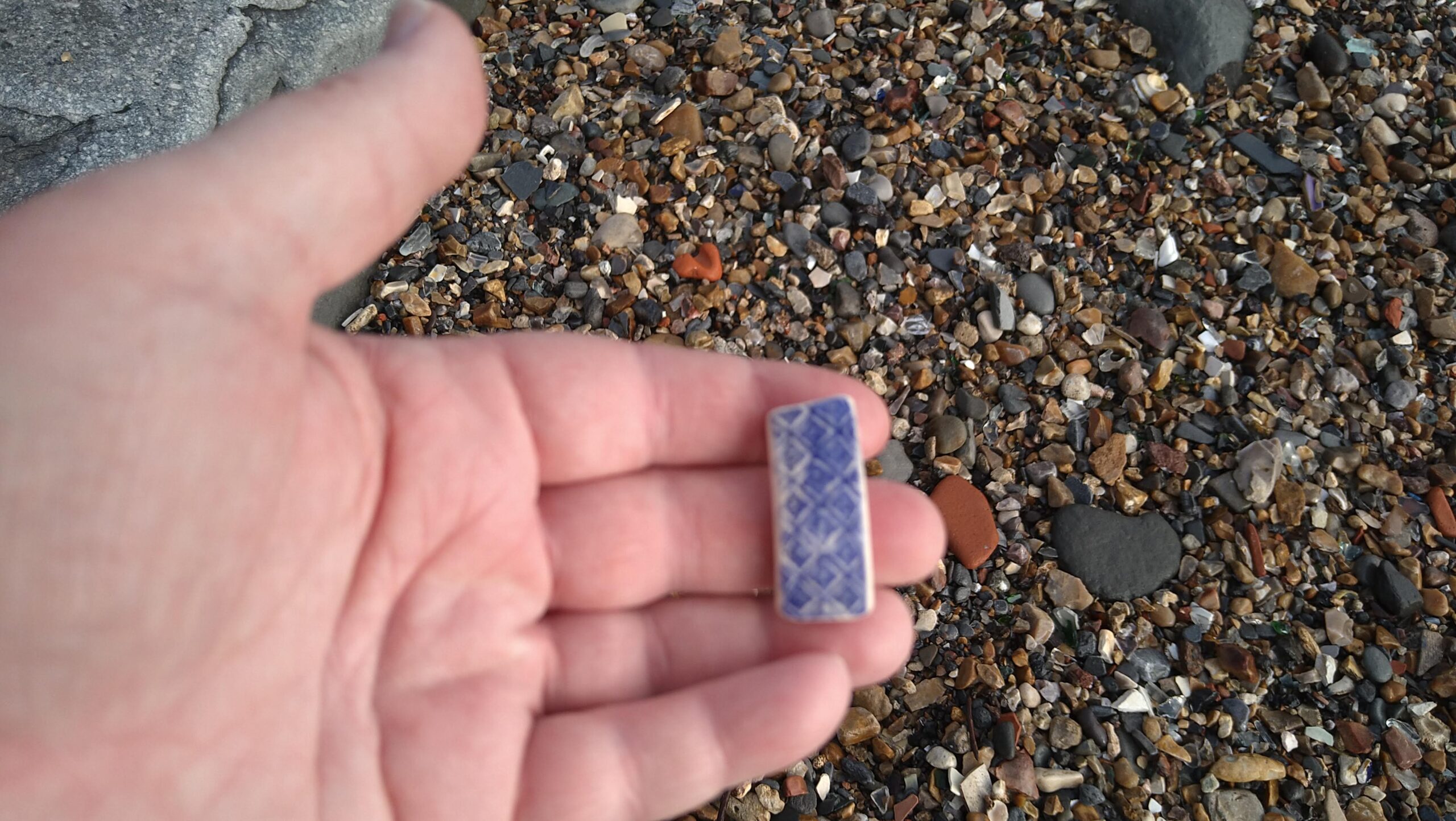 beachcombing finds (146)
