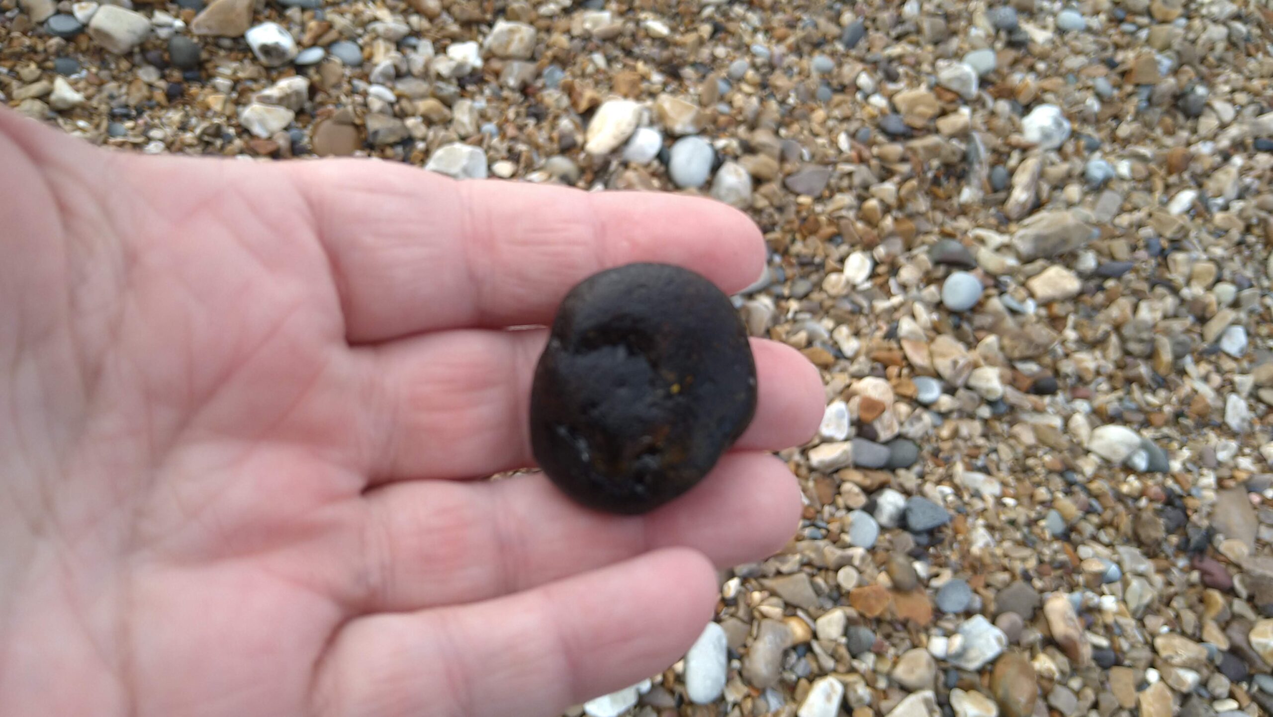 beachcombing finds (27)