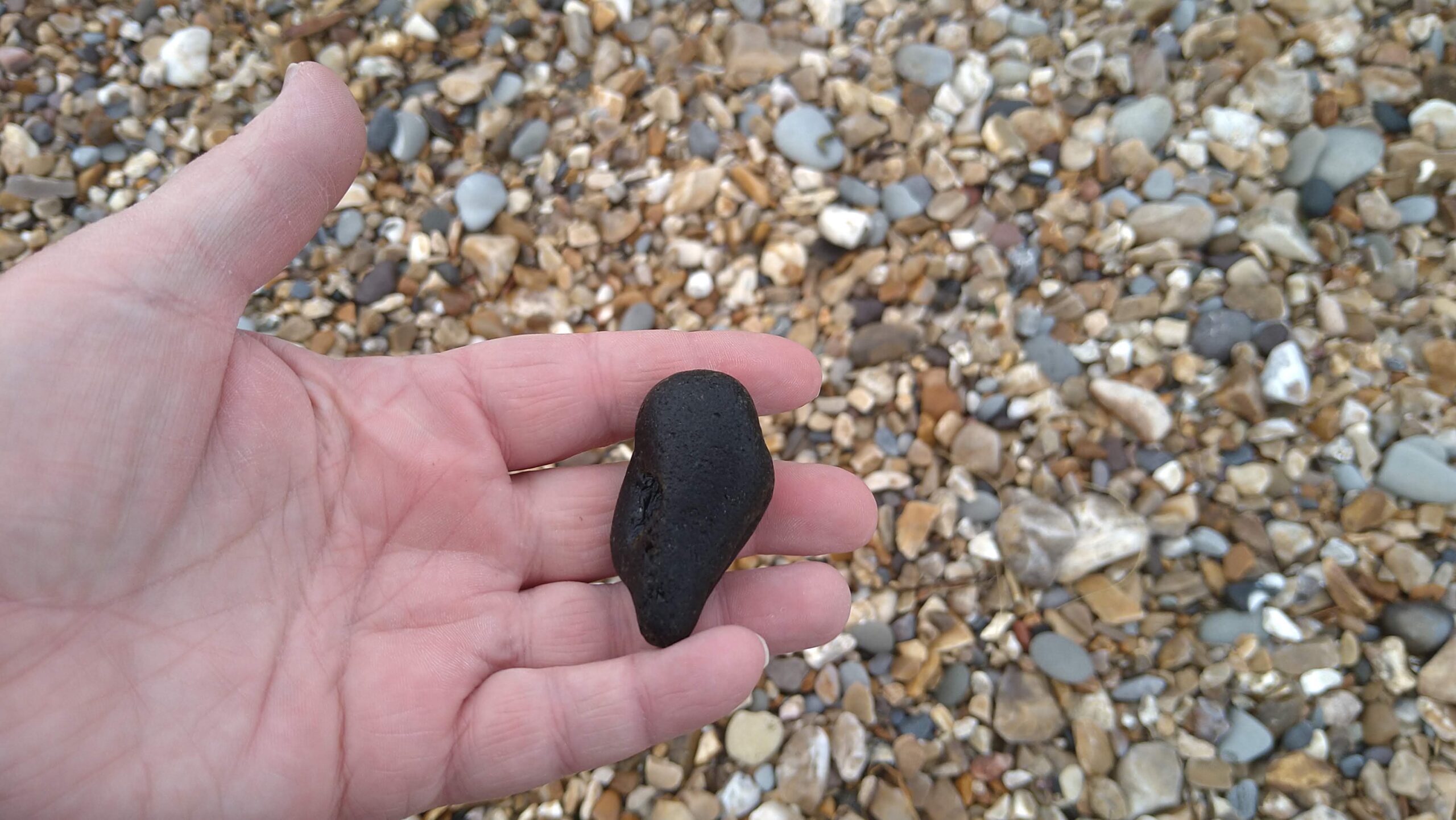 beachcombing finds (71)