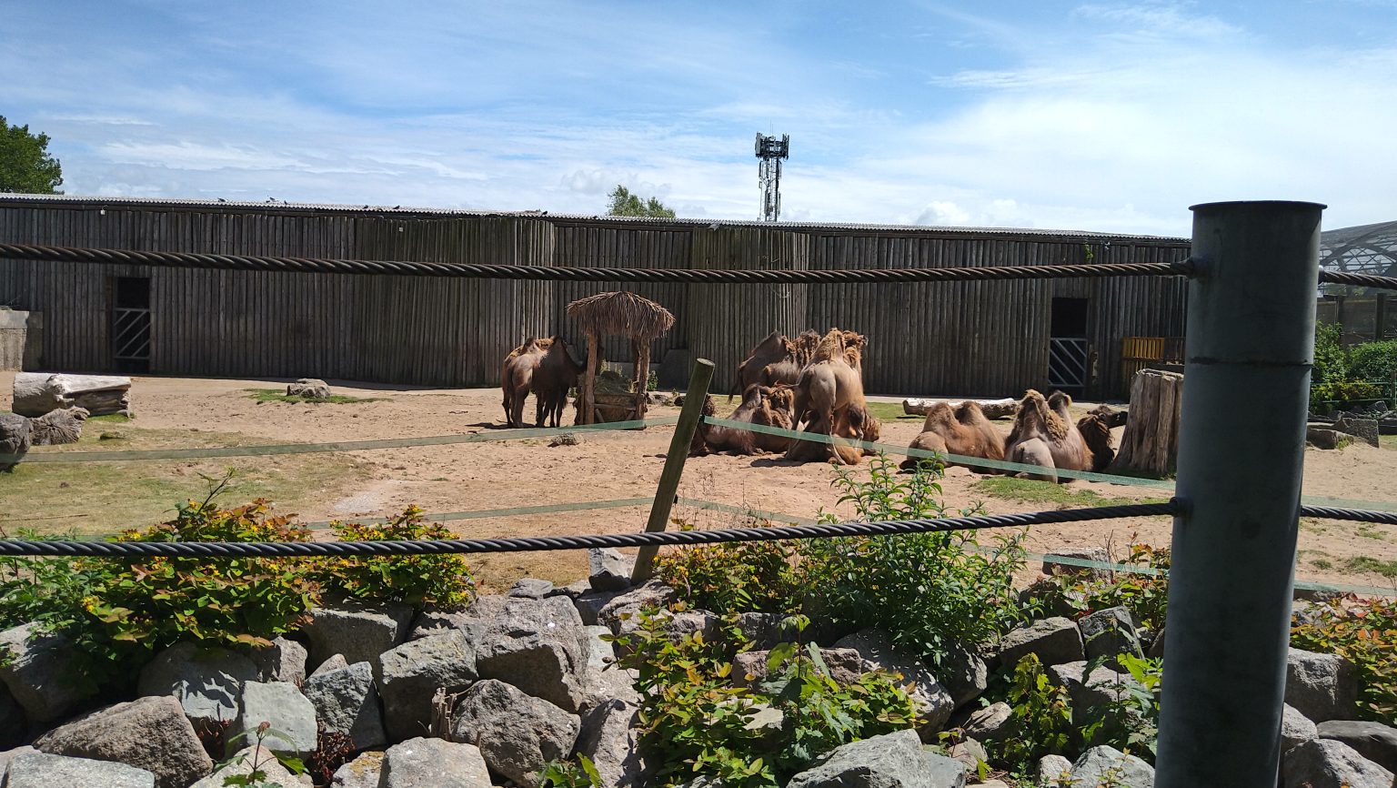 Blackpool Zoo - Discover The Outdoors